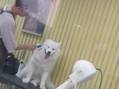 -宠物世家(仲盛世界商城店)