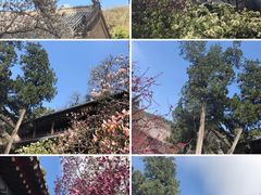 -潭柘寺景区