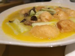 -素虎小呆鸟(西二旗店)