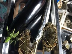 -枸杞岛