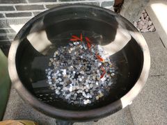 -局气烤鸭·北京菜(前门店)