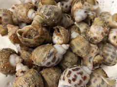 -龙溪海鲜酒家(溪涌店)