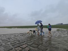 -南汇嘴观海公园