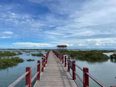 -北海金海湾红树林生态旅游区