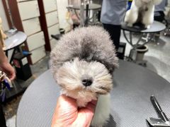 -宠物家(双井店)