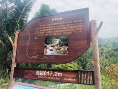 -海南热带雨林国家公园吊罗山景区