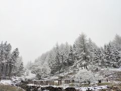 -硗碛藏寨·神木垒景区