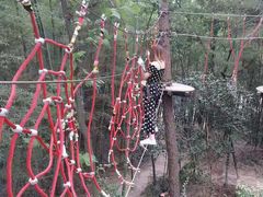 -石燕湖生态旅游景区