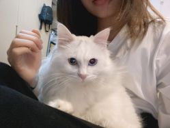 -思密达·烫染设计