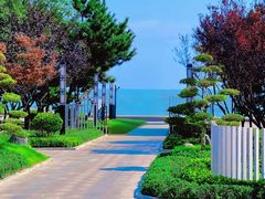 -日照灯塔风景区