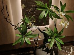 -汤城小厨•粤菜•靓汤(金融街店)