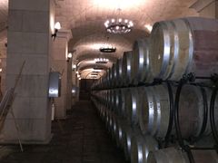 -北京张裕爱斐堡酒庄