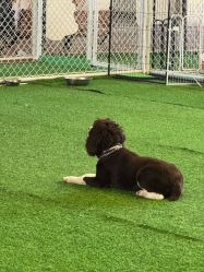 -酷嗒动物文化乐园(cutezoo西溪乐天城店)