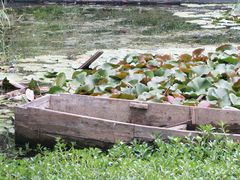 景点-西昌邛海湿地