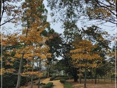 -中国移动南方基地