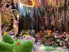 -正佳雨林生态植物园