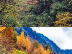 -神农架景区