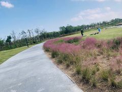 -春花秋色城市公园