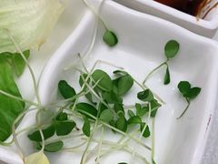 -便宜坊烤鸭店(科创店)