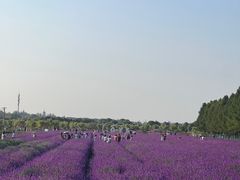 -嘉北郊野公园
