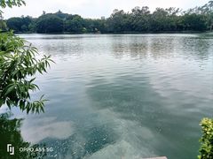 -西湖公园(鼓楼区)