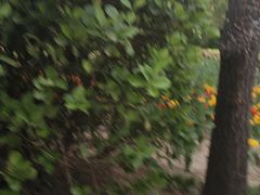 -迎泽公园