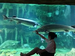 -华夏文旅海洋公园