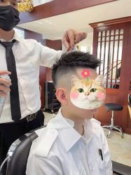 -尼特斯男士发型馆