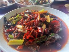 鳝鱼-清泉馆(望江路店)