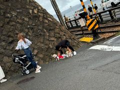 -灌篮高手动画打卡地