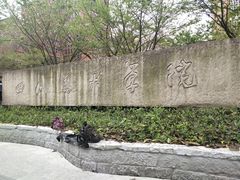-黄桷坪涂鸦艺术街