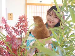 -柴犬小屋·柴餐厅·狗咖食堂(金鼎广场店)