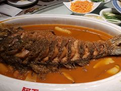 -阿五黄河大鲤鱼(纬三路店)