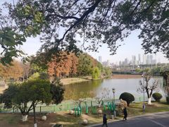 -古琴台