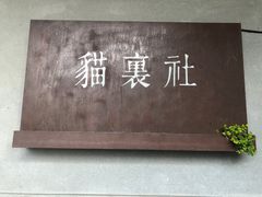 -猫里有甜