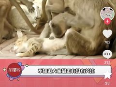-昆明动物园