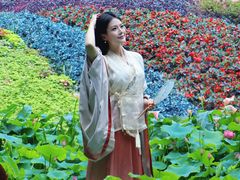 -花之城
