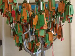 -哈尔滨工业大学-博物馆