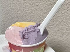 -Dip in Gelato(富民路店)