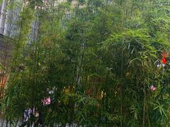 -南小蟹手工點心(三里屯店)