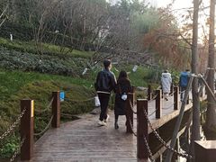 -重庆彩云湖湿地公园