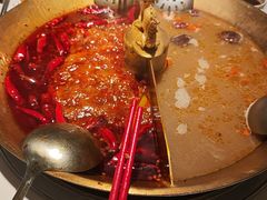 -小龙翻大江文化火锅(宽窄店)
