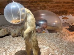 -正佳雨林生态植物园