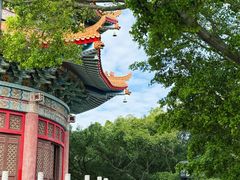 -广东圆玄道观