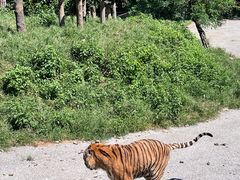 -大连森林动物园