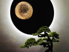 -老板恋上鱼(振华商厦店)