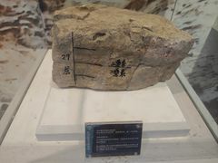 -金钉子远古世界景区