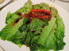 白灼生菜-蔡澜点心·粤菜(月星环球港店)