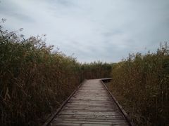 -西青郊野公园