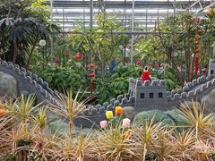 -南宫五洲植物乐园